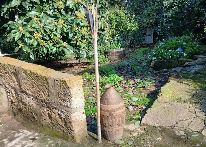 Loft Mamposo タコロンテ